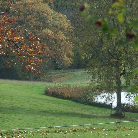 Woodlands Bed & Breakfast Barnt Green Экстерьер фото