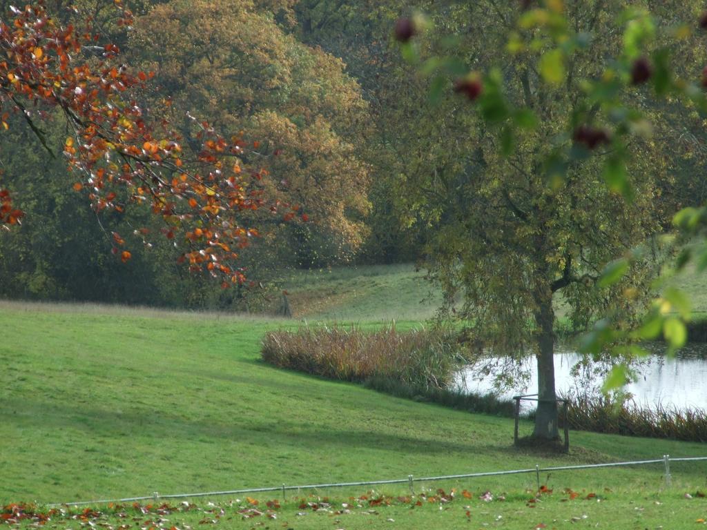 Woodlands Bed & Breakfast Barnt Green Экстерьер фото